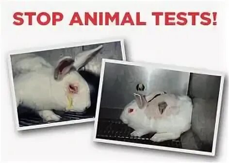 Stop tests