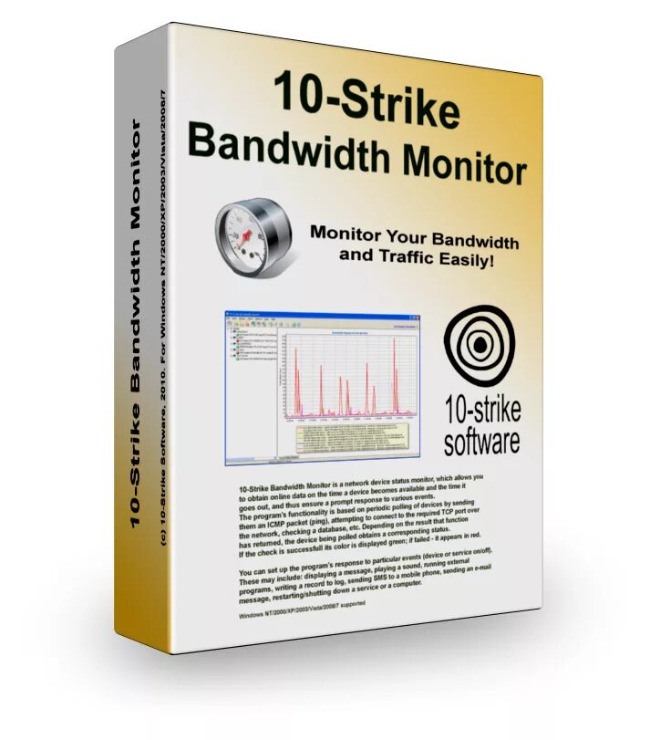 10 страйк сети. 10-Страйк учет трафика. 10 Страйк мониторинг сети Pro. LANSTATE. 10 Страйк Интерфейс программы.