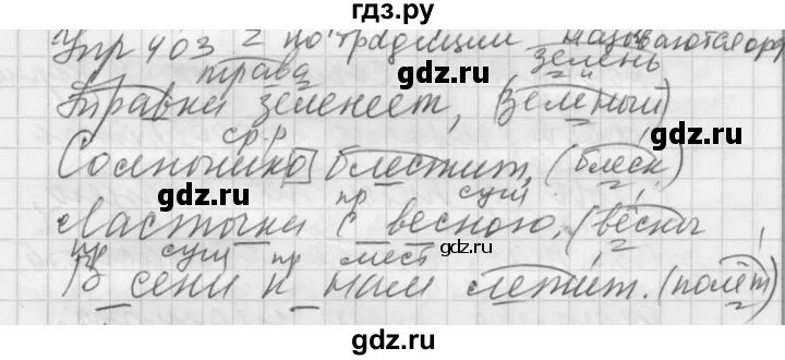 Упражнение 403 по русскому языку 5 класс. Упражнение 403.