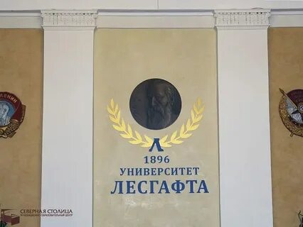 Лесгафта факультеты специальности