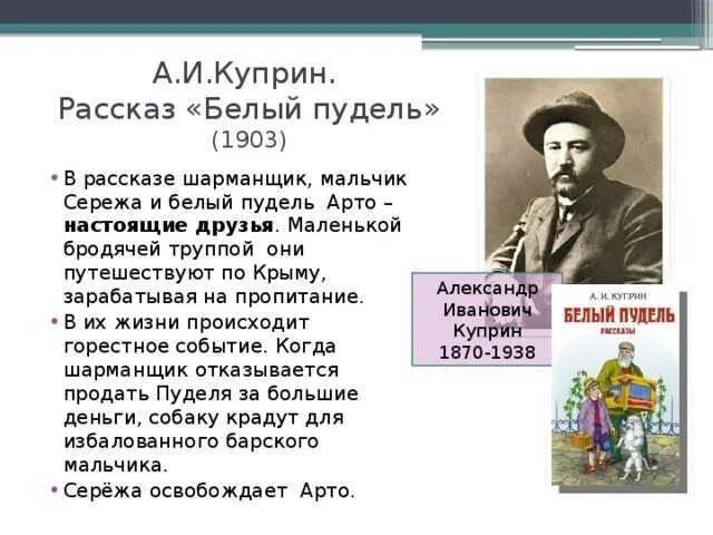 Куприн краткое содержание пересказ. Куприн белый пудель Главная мысль. Белый пудель Куприн краткое содержание. Рассказ Куприна белый пудель. Рассказ а. Куприна “белый.