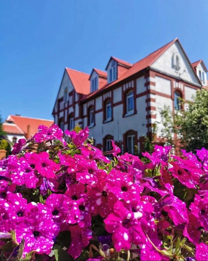 Ульяновск фото города. Штаб город ульяновск. Антонов (аэропорт). Ульяновск калининград. Калининград.