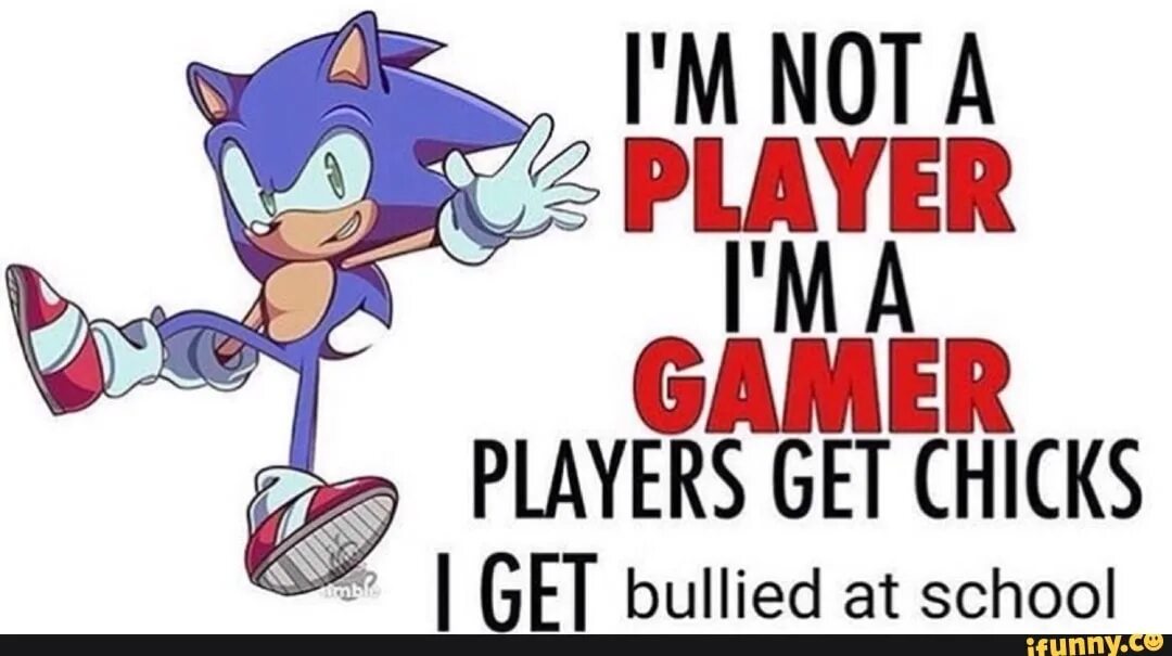 I m not well well is. Соник геймер. Im not a Player im a Gamer Players get chicks i get Bullied at School. I'M not a Player i'm a Gamer. Футболка i'm not a Player i'm a Gamer.