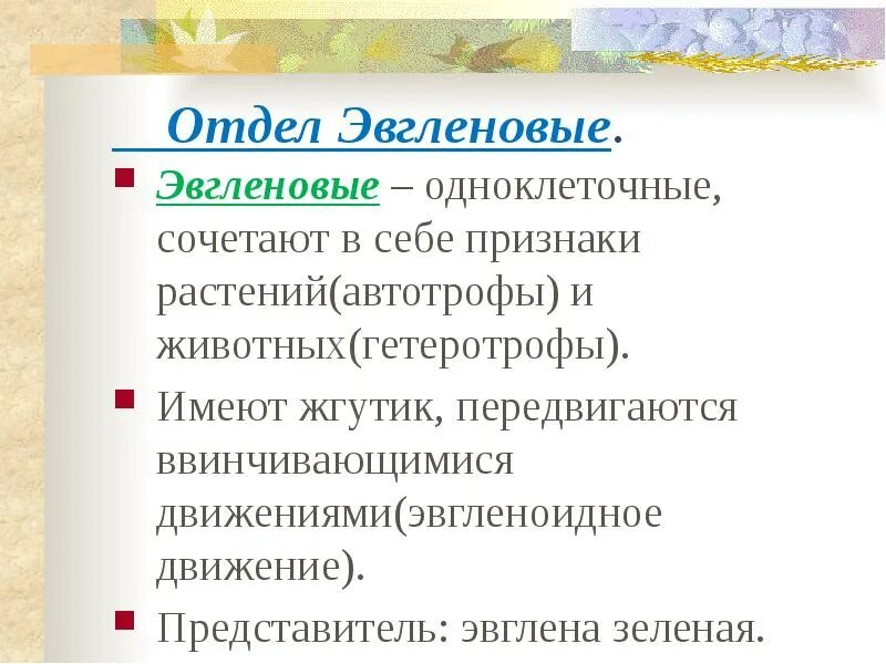 Сочетают в себе признаки и растений