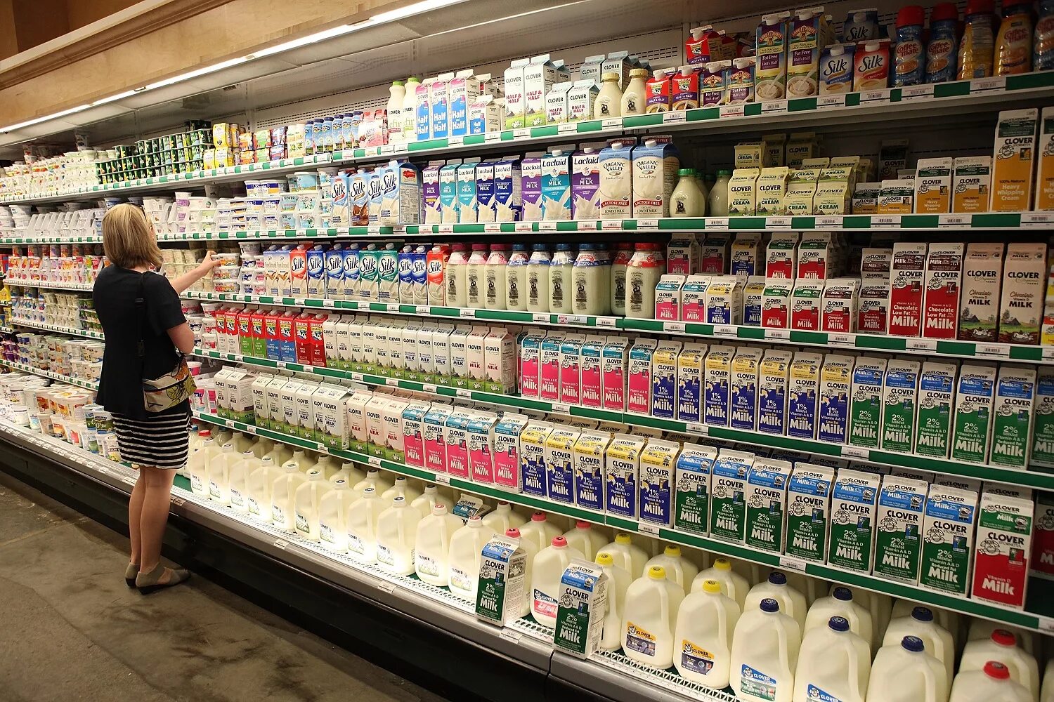 Соответствующий товар. Выкладка молочных товаров. выкладка молочной продукции. прилавок с молочной продукцией. выкладка молочной продукции в магазине.