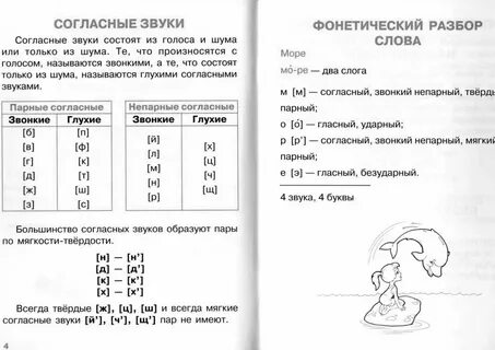 Согласные буквы фонетический разбор