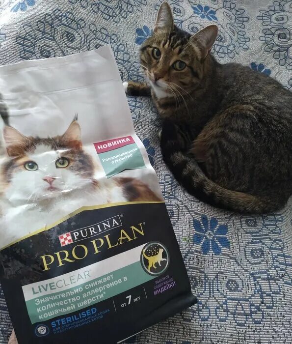 Корм для кошек снижение аллергенов в шерсти. Проплан для стерилизованных котов от 1 года сухой корм. Pro plan liveclear sterilised индейка 400 г. Pro plan liveclear sterilised индейка 400 г. Сухой корм pro plan liveclear для стерилизованных кошек.