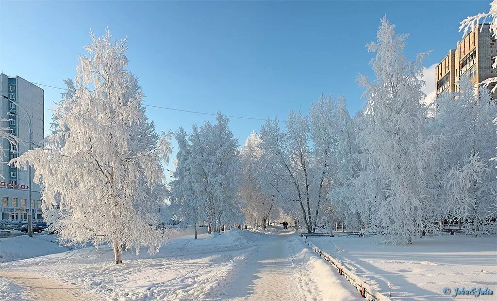 Нижневартовск ташкент