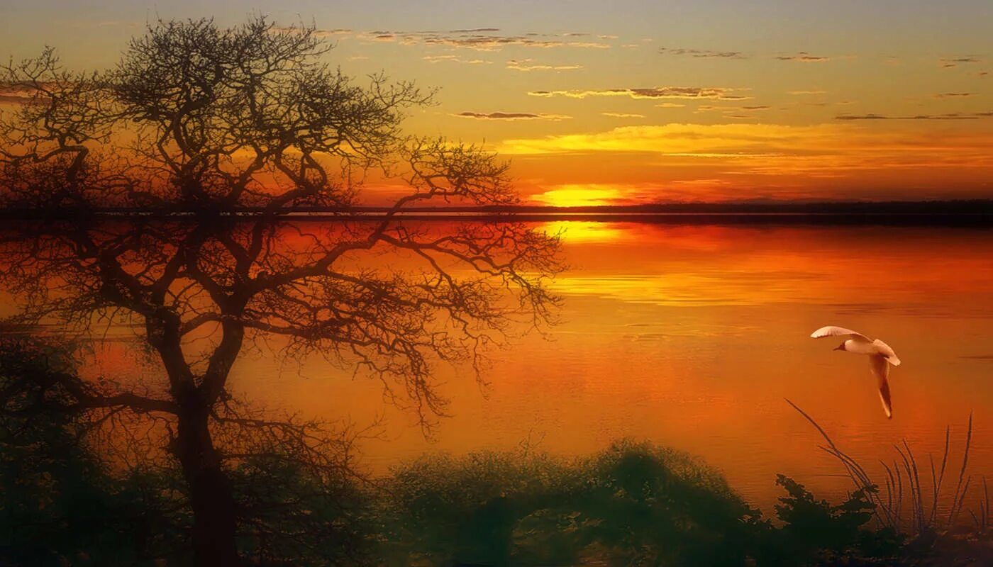 Так пускай холодным рассветом. Солнце встает над рекой. Иллюстрация к стихотворению Есенина Восход солнца. Красное солнце над рекой. Утренняя Заря фон.