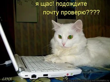 Сейчас подожди