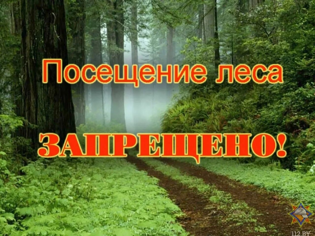Запрет в лесах беларуси. Запрет на посещение лесов. Посещение лесов запрещено. Ограничение пребывания граждан в лесах. Ограничено пребывание граждан в лесах.