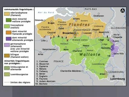 Деление бельгии