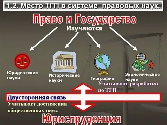 Какие науки изучают государство и право. Государство право и экономика. Связь государства с правом.