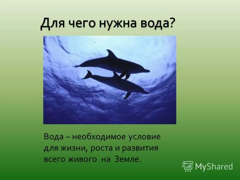 для жизни на земле необходимы. условия жизни наьземле. если бы на земле не было растений. условия необходимые для живых организмов. значение воздуха для человека.