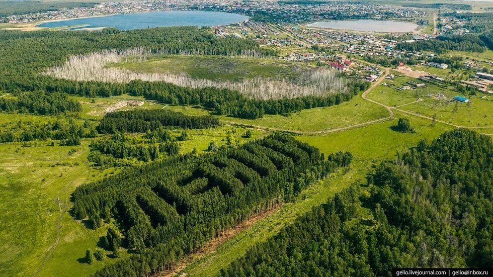Тюкалинск омская область. Тюкалинск лес ленин. Геоглиф ленину 100 лет. И. Тюкалинск лес ленин.