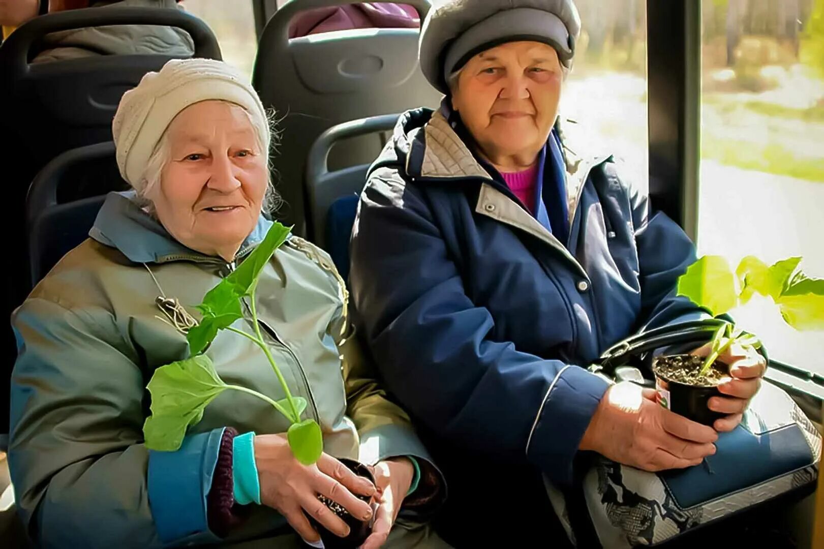 Льготная дорога. Пенсионеры в автобусе. Дачники в автобусе. Дачный автобус. Дачники пенсионеры.