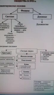 Сословная структура общества это традиционное общество