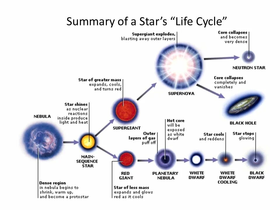 Star life 1. Жизненный цикл звезды. Этапы жизни звезды. Этапы жизненного цикла звезды. Схема эволюции звезд.