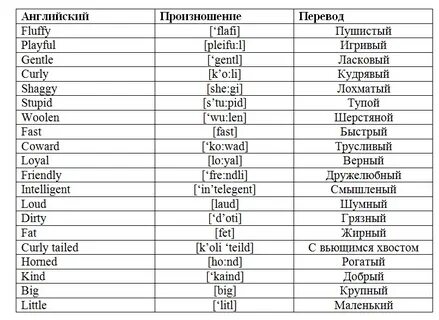 Мохнатый по английски