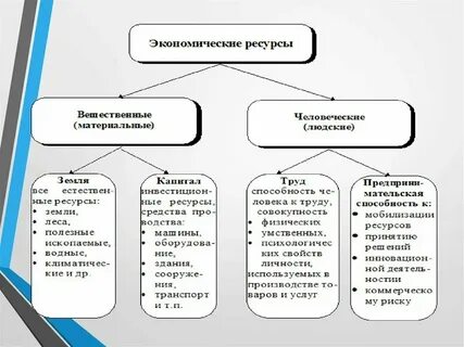 Основы управления экономическими ресурсами