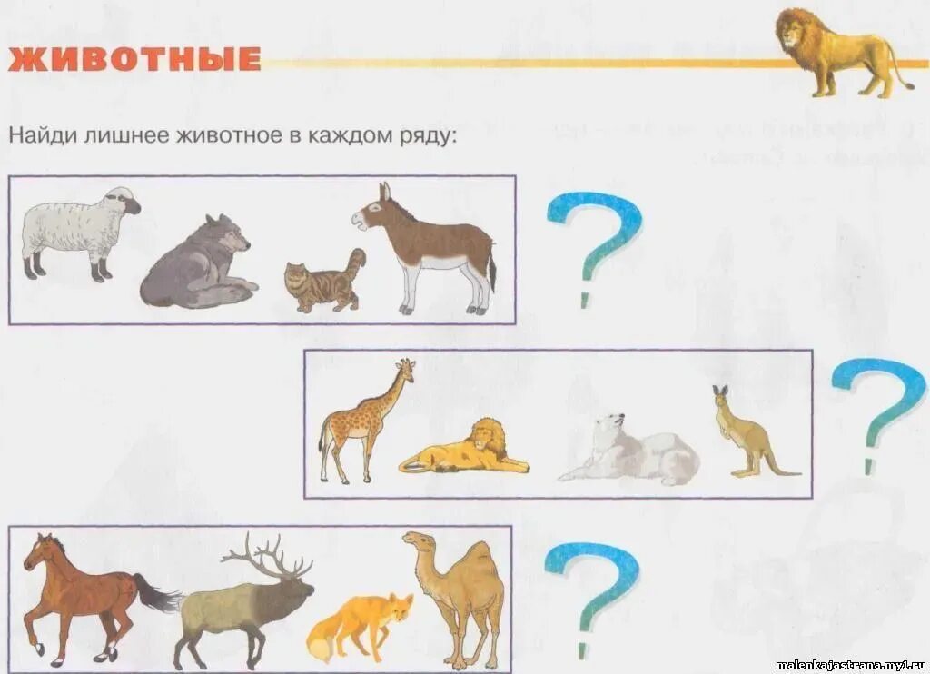 Задания животные жаркие страны. Животные задания для дошкольников. Задания для старшей группы животные. Задания для дошкольников звери жарких стран.