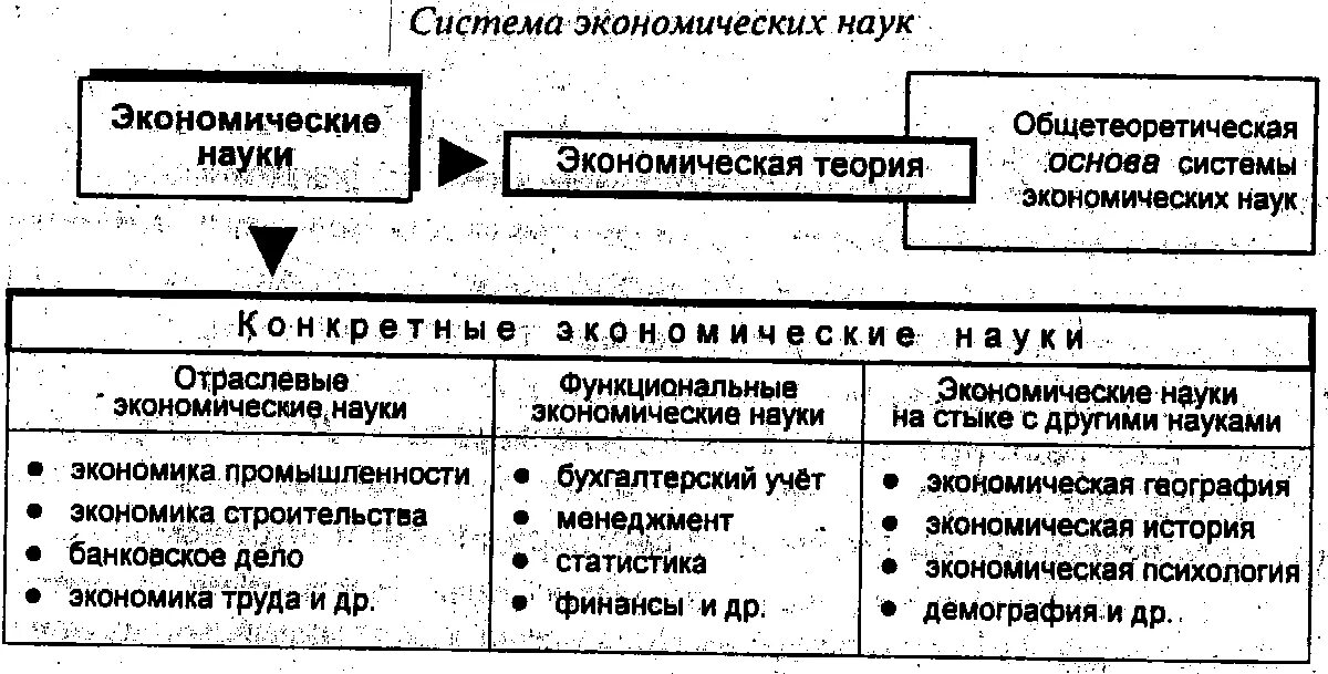 Система экономических наук. Экономическая теория в системе экономических наук. Функциональные экономические науки. Экономическая теория схема Микроэкономика. Функционально экономическая система