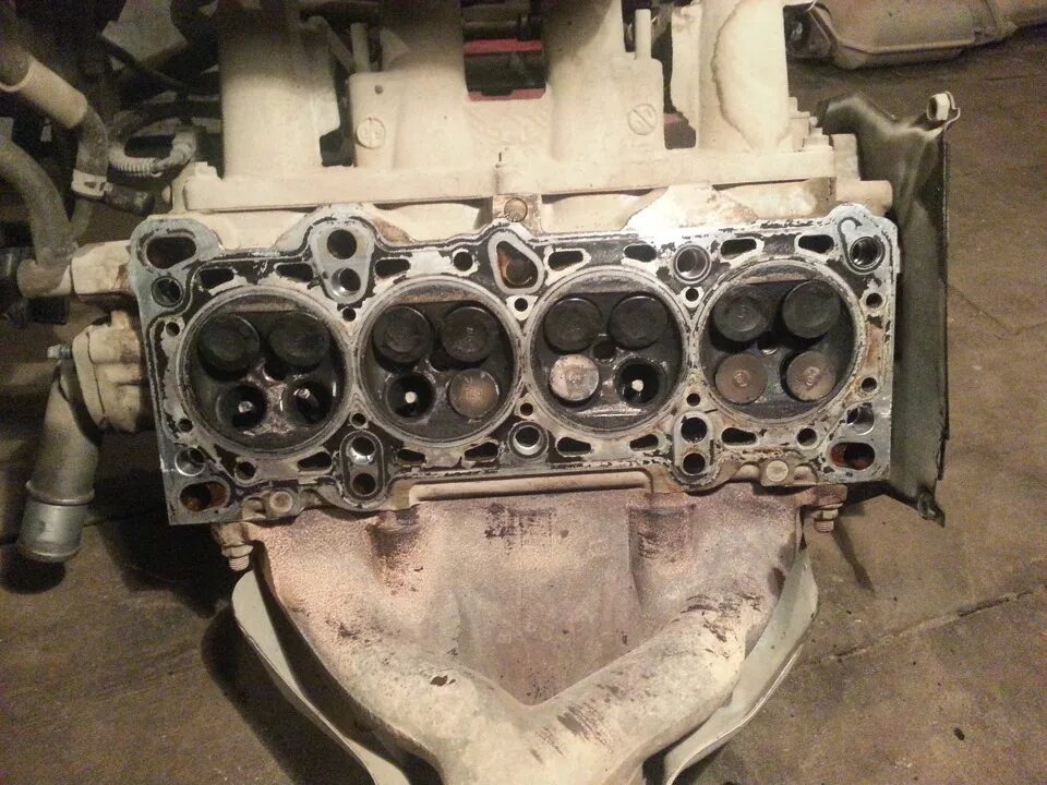 Носовые клапаны наружный и внутренний. Клапан основания легочного ствола. Основы гемодинамики. Клапаны клапана значение. Вены клапаны строение.