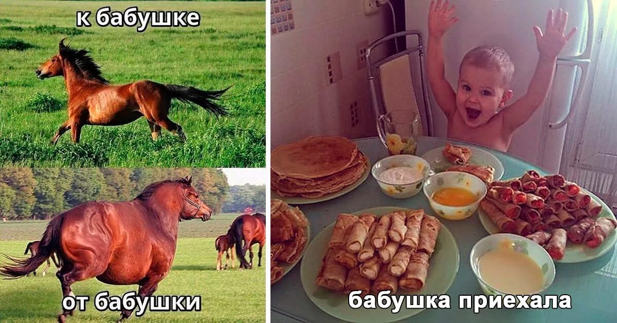 Внук приехал к бабушке в деревню. Бабушка приехала. приехал от бабушки. мем приехал к бабушке. до бабушки после бабушки.