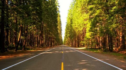 Road use