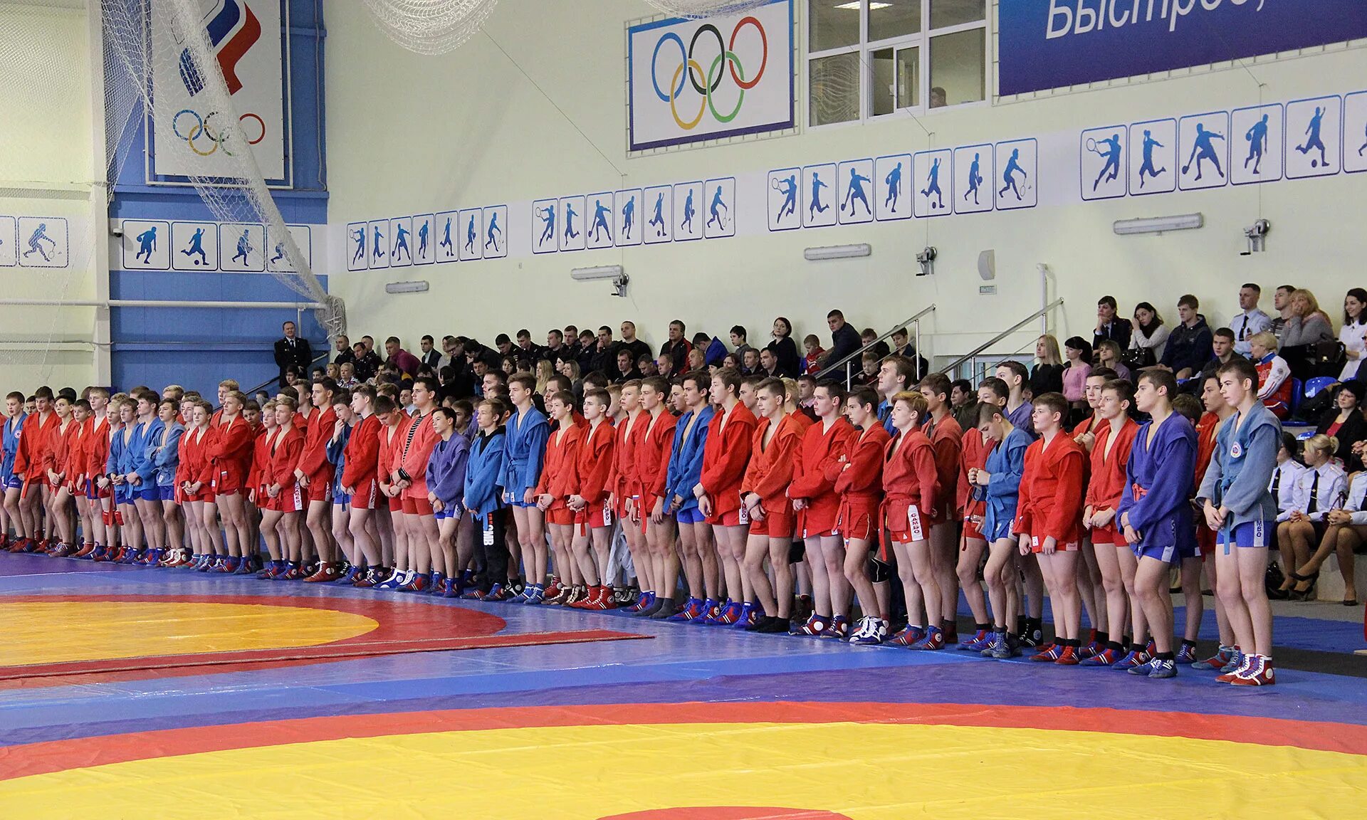 Открытие самбо брянск. Самбо Брянск Торпедо. Самбо Брянск Варяг. Самбо Брянск для детей. Тренера по самбо Брянск.