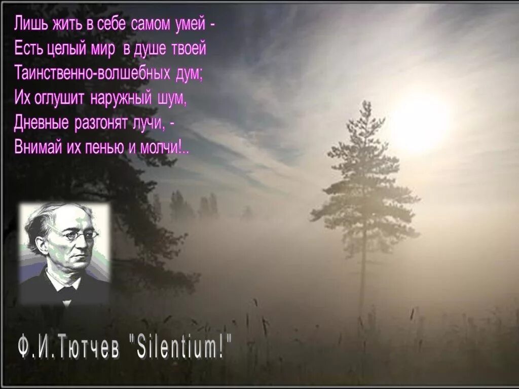 Тютчев лишь жить в себе самом умей. Лишь жить в себе самом умей есть. Лишь жить в себе самом умей есть целый мир в душе твоей. Silentium Тютчев.