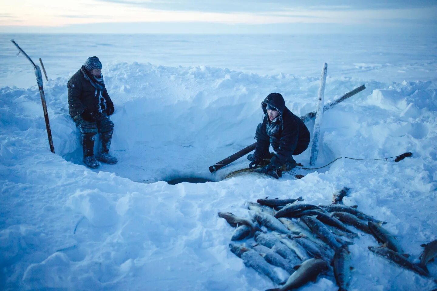 Рыболовство в Арктике. Рыбалка в Арктике. Рыбный промысел в Арктике. Рыбалка камчатка 2024