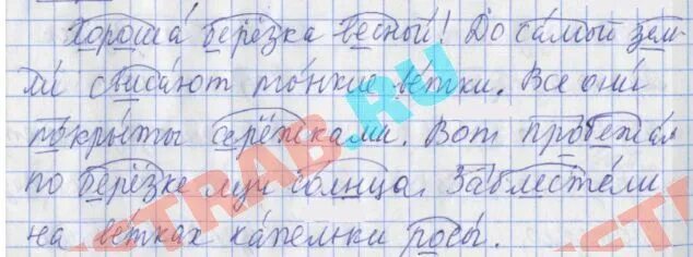 Поставь ударение подчеркни опасные места обозначь часть слова. Поставь ударение подчеркни опасные места. Поставь ударение подчеркни опасные места обозначь часть. Поставить ударение подчеркнуть опасные места. Подчеркни пятое слово