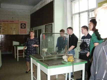 Кузнецкий металлургический техникум