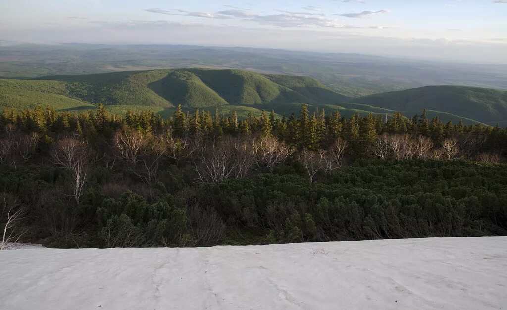 Погода в горном зейский. Норский заповедник Амурской области. Зейский заповедник Тукурингра. Тукурингра хребет Амурской области. Зейский государственный природный заповедник.