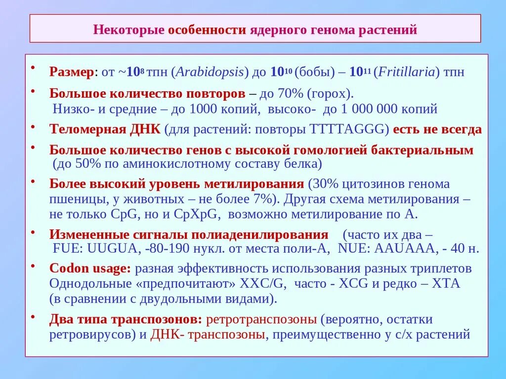 Митохондриальная днк строение и функции. Ядерные гены. Ядерные геномы. Ядерный геном. Характеристика генома.