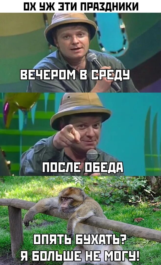 Джунгли вечером в среду