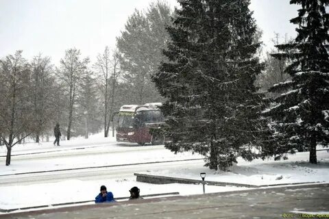 Погода в первоуральске на ноябрь
