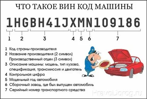 Автомобиль узнать vin по номеру автомобиля