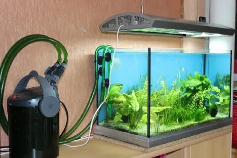 best external aquarium filter - mbs10.ru.