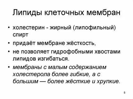 Жесткость мембраны клетки