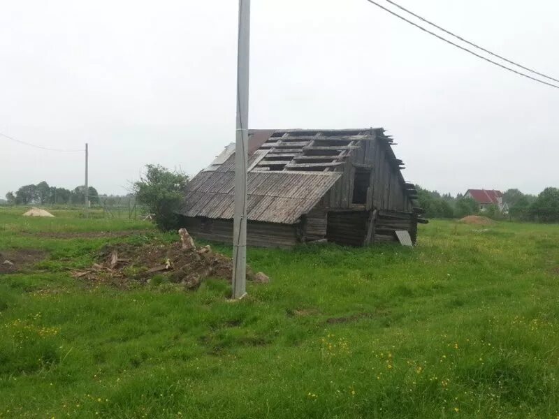 Деревня синевая. Погода в деревне шуговицы. Погода в деревне шуговицы. Прогноз погоды в деревне рязанцево калужская область. Погода в деревне шуговицы.
