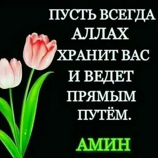 Лучшие пожелания мусульманину