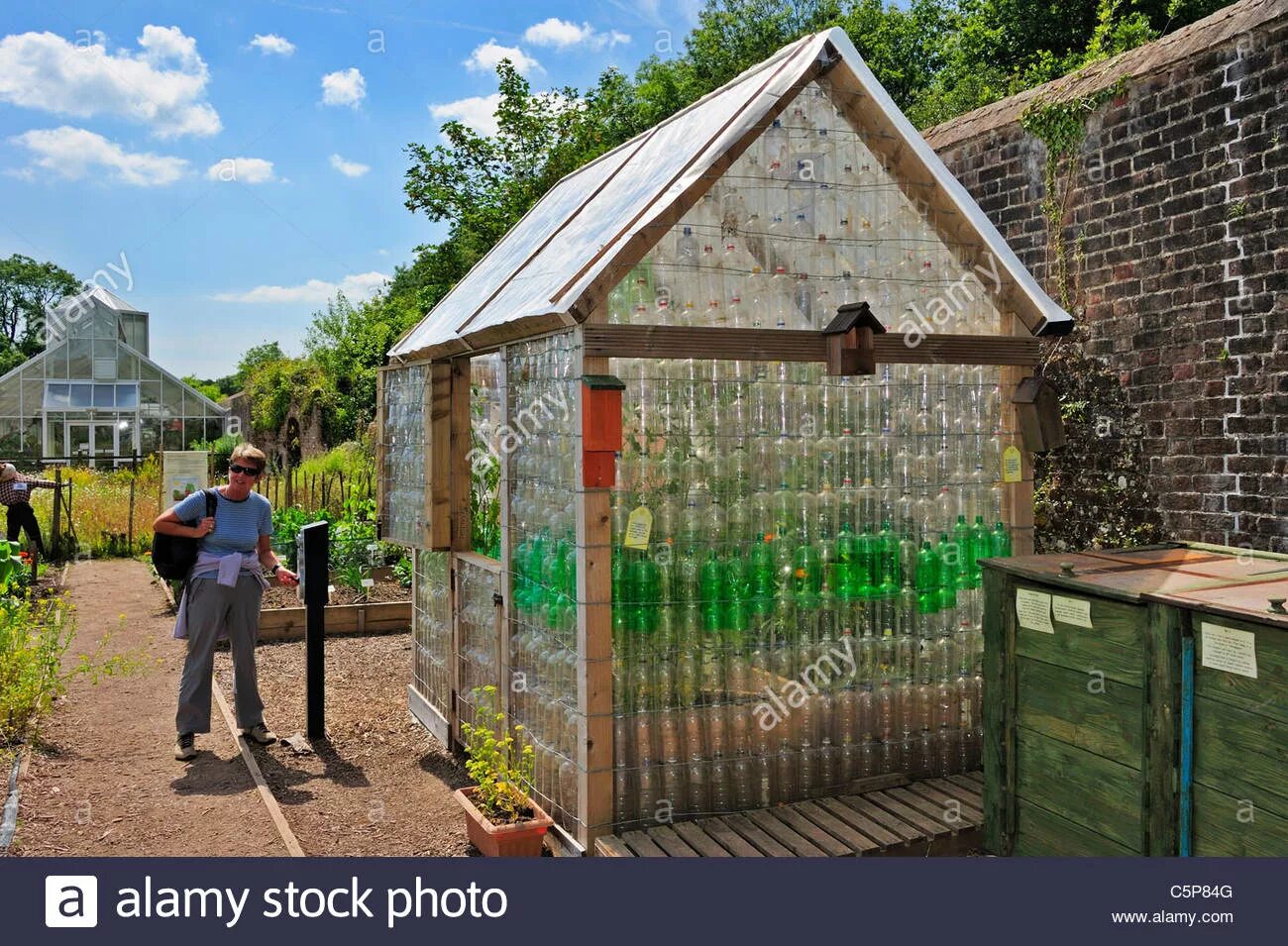 Теплица своими руками из бутылки. Теплица из пластиковых бутылок. Теплица из пластиковых бут. Парничок из пластиковых бутылок. Теплица из бутылок пластмассовых.