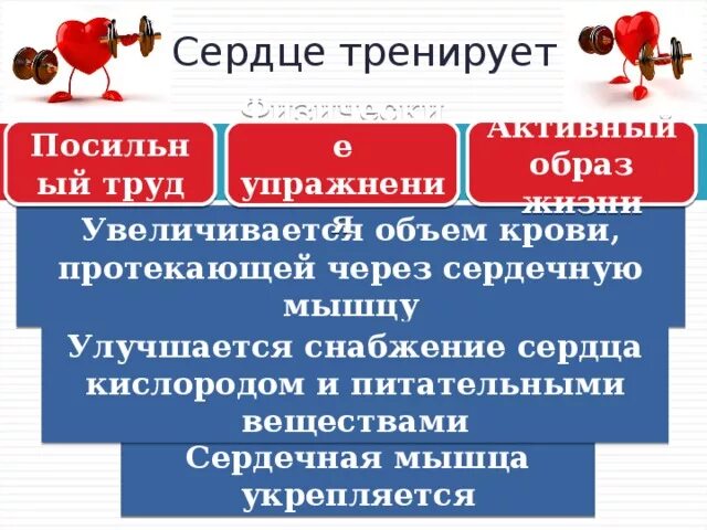 Тренированность сердца. Тренировка сердца кратко. Как тренировать сердце. Значение тренировки сердца.