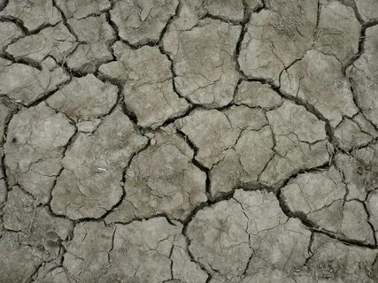 Cracked software