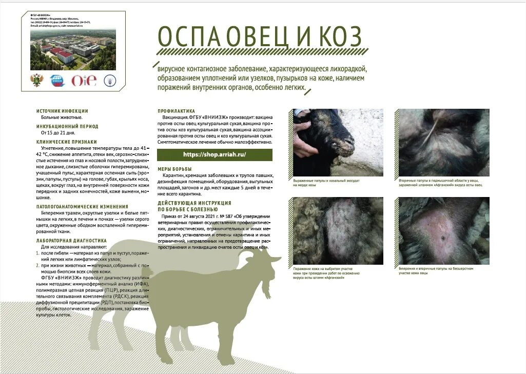 Правила мрс