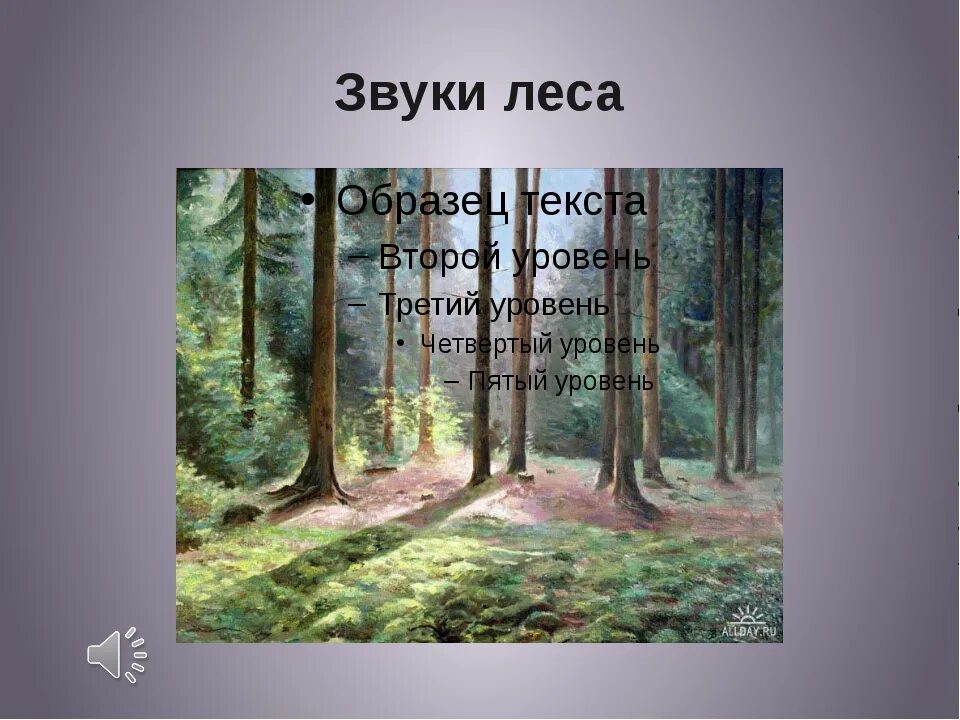 Лес звуки леса. Звук в лесу. Шум в лесу. Звук шума леса. Звучание леса