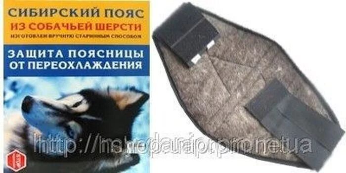 из собачьей шерсти на поясницу. из собачьей шерсти на поясницу. пояс буран из собачьей шерсти. пояс из собачьей шерсти тайга 50-52. вязаный пояс для поясницы.