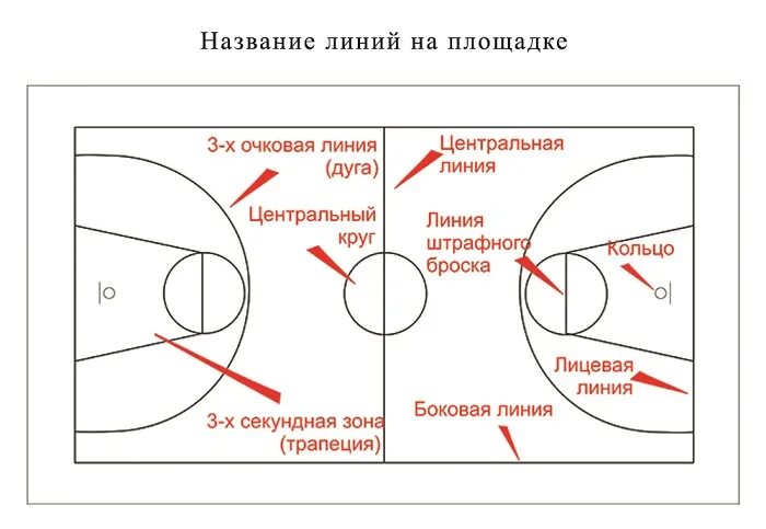 Центральный круг в баскетболе. Разметка баскетбольной площадки зоны название. Баскетбольное поле схема разметки линий. Линии разметки баскетбольной площадки. Схема баскетбольной площадки с размерами.